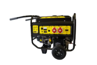 Grupo electrogeno VILLA 220V 13000W MONOFASICO PX13000M